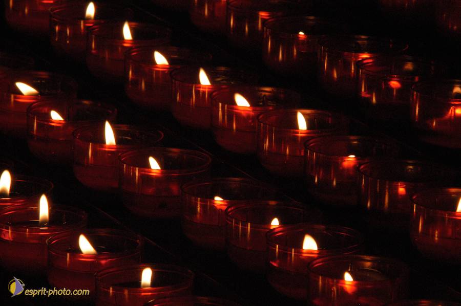 Nom de l'image : EG04001175_(c)Norbert-JUNG — Description :  CathÈdrale Notre-Dame, Chartres